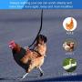 3 Pieces Chicken Harness Breathable Hen Pet Vest with 3.6 Feet Matching Belt Comfortable Chicken Training Harness Small Size for Chicken, Duck or Goose (Blue, Pink, Black)