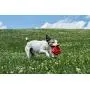 Hero USA, Made in USA Soft Rubber Dog Toy, Ideal for Fetching & Chewing, Indestructible Dog Toy Hero USA, Made in USA Soft Rubber Dog Toy, Ideal for Fetching & Chewing, Indestructible Dog Toy