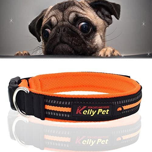Chenyouwen Pet Toys Great Pet Dogs Polyester Reflective Breathable Pets Collar Traction Lead Leash, Size: S, 2.03540cm (Black) (Color : Orange)