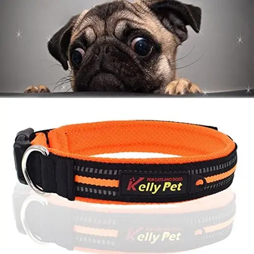Chenyouwen Pet Toys Great Pet Dogs Polyester Reflective Breathable Pets Collar Traction Lead Leash, Size: L, 2.54754cm (Black) (Color : Orange)
