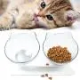 Apofly 1Set Cat Food Bowls Cat Dish Elevated Cat Bowls Pet Feeder Elevated Cat Feeding Bowlscat Bowls with Stand Raised Transparent