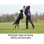 Professional Dog Training Equipment and Bonus - Giant Medium K9 Large Dog Training Tool - Dog Supplies - Real Physical and Emotional Load Your Dog - Puller Plus