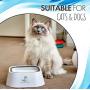 All Fur You Dog Water Bowl Splash Proof Anti Spill Slow Feeder Dish Cat Water Bowl No Slip Dispenser 35oz (1L) Drinking for Dogs Cats In Car Crate Safe Portable Pet Bowl Travel Dog Bowls Small Non Tip