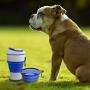 Collapsible Pet Water Bottle for Dogs, Cats Dog Travel Water Bottle Foldable, Dog Water Dispenser, Lightweight & Convenient Travel BPA Free