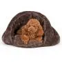 PLS Birdsong The Original Cuddle Pouch Pet Bed (Small), Dog Cave, Covered Hooded Pet Bed, Cosy, for Burrower Cats and Dogs, Brown PLS Birdsong The Original Cuddle Pouch Pet Bed (Small), Dog Cave, Covered Hooded Pet Bed, Cosy, for Burrower Cats and Dogs, Brown
