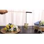 Pet Supplies Pet cat toy cat Funny cat stick Funny cat rod Cat Toys
