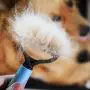 Cool smile Dematting Comb Tool for Dogs & Cats, Pet Grooming Undercoat Rake with Two-Side,Professional Stainless Steel Demat Comb Removes Loose Undercoat, Mats, Tangles and Knots Cool smile Dematting Comb Tool for Dogs & Cats, Pet Grooming Undercoat Rake with Two-Side,Professional Stainless Steel Demat Comb Removes Loose Undercoat, Mats, Tangles and Knots