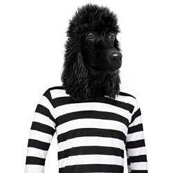 Off the Wall Toys Standard Poodle Mask Dog Halloween Costume Face Mask Kennel Club