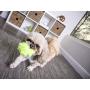 goDog Just For Me Furballz with Chew Guard Tough Plush Dog Toy, Lime, Small