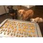 extreme V Wag Doh - 100% Natural Cookie Dough for Dogs