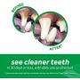 TropiClean Fresh Breath Fresh N Fun Dental Chew Toy for Small and Medium Dogs