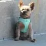 American River Doggie Design Teal Ultra Choke-Free Mesh Dog Harness American River Doggie Design Teal Ultra Choke-Free Mesh Dog Harness