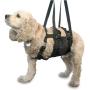 ANIMAL SUSPENSION TECHNOLOGY GET-A-Grip Dog Harness - Small - Black Lift Harness for Dogs - Support for Injured OR WEAK Dogs - Rehab Harness