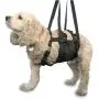 ANIMAL SUSPENSION TECHNOLOGY GET-A-Grip Dog Harness - Small - Black Lift Harness for Dogs - Support for Injured OR WEAK Dogs - Rehab Harness