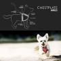 EzyDog Chest Plate Custom Fit Dog Harness