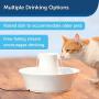 Drinkwell Ceramic Avalon Fountain for Pets