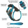 Kurgo Dog Harness for Large, Medium & Small Dogs | Reflective Harness for Running, Walking & Hiking | Everyday Adventure Pet Journey Harness | Grey/Coral, Large