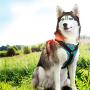 Dog Harness No Dog Leash Adjustable Outdoor Pet Vest Reflective Oxford Material Vest for Dogs