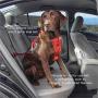 Kurgo Dog seat Belt Pet Safety Tether with Carabiner, Tru-Fit Enhanced Strength Replacement Tether, Use with Car Safety Dog Harness