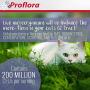 Proflora Probiotic Supplement for Cats Healthy Digestive Tract Chicken Liver Flavor 30 Serving