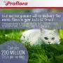 Proflora Probiotic Supplement for Cats Healthy Digestive Tract Chicken Liver Flavor 30 Serving