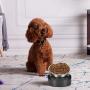 Jemirry Pet Bowls Stainless Steel Dog Cat Pet Bowl, Dishwasher Safe & Rust Resistant with Removable Food Water Holder