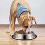 Vikedi Stainless Steel Dog Bowls for Medium/Large Dog, 40 Oz Stainless Steel Bowls with Anti-Skid Rubber Base for Food or Water Bowls, Pets Dog Feeder Bowl Dog Dish Reduce Spill, Set of 2