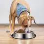 Vikedi Stainless Steel Dog Bowls for Medium/Large Dog, 40 Oz Stainless Steel Bowls with Anti-Skid Rubber Base for Food or Water Bowls, Pets Dog Feeder Bowl Dog Dish Reduce Spill, Set of 2 Vikedi Stainless Steel Dog Bowls for Medium/Large Dog, 40 Oz Stainless Steel Bowls with Anti-Skid Rubber Base for Food or Water Bowls, Pets Dog Feeder Bowl Dog Dish Reduce Spill, Set of 2