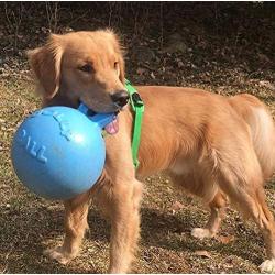 Jolly Pets Tug-N-Toss Dog Toy Ball with Handle