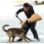 Morezi Dog Bite Sleeve Training Protection, Fits Both Sleeves, Small Dogs Training Biting Tugging Toy