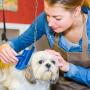 3 Pieces Faux Sheepskin Rug Brush Cleaner Pet Slicer Brush Faux Fur Cleaning Brush for Dogs Cats Fur Seat Cover Brush Fine Wire Rugs Brush, M