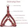 Dog Harness Adjustable & Durable Plaid Pet Harness,4 Pack(Vest Harness&Plaid Bow Dog Collar&Leash&Collar Light) Anti- Twist Dog Leash Set for Small Medium Large Puppy Dogs Cats (Large, Black) Dog Harness Adjustable & Durable Plaid Pet Harness,4 Pack(Vest Harness&Plaid Bow Dog Collar&Leash&Collar Light) Anti- Twist Dog Leash Set for Small Medium Large Puppy Dogs Cats (Large, Black)