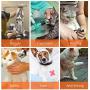 XERGUR Cat Anti-Scratch Boots, Silicone Cat Shoes Boots Rubber Nail Cover Precaution Scratch Gloves Cat Paw Protector Pet Grooming Scratching Booties for Home Bath Shave Check Treatment