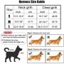 Dog Seatbelt Dog Car Harness with Pet Harness Double Breathable Mesh Fabric Vest,Adjustable Pet Seatbelt,Car Vehicle Connector Strap for Dogs and Seatbelt Extenders for Cars (Red, M)