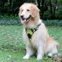 BUDDIHUG Dog Harness No Pull Pet Harness 3M Reflective Adjustable Outdoor Pet Vest for Small Medium Large Dogs BUDDIHUG Dog Harness No Pull Pet Harness 3M Reflective Adjustable Outdoor Pet Vest for Small Medium Large Dogs