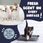 ZENAPOKI - Professional Quality Stain and Pet Odor Eliminator Spray, for Dogs and Cats - Pets House Spray, Cat and Dog Scent Remover with Natural Linen Scent - Pet Odor Smell Supplies