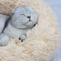Donut Cat Bed, Faux Fur Washable Bed for Cats, Marshmellow Cat Dog Round Bed, Calming Self Warming Cuddler Cat Bed