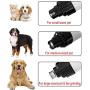 SR SUREADY Dog Nail Grinder - Professional Speed Electric Rechargeable Pet Nail Grinder Trimmer Painless Pawn Grooming & Smoothing for Small Medium Large Dogs & Cats