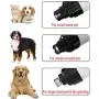 SR SUREADY Dog Nail Grinder - Professional Speed Electric Rechargeable Pet Nail Grinder Trimmer Painless Pawn Grooming & Smoothing for Small Medium Large Dogs & Cats SR SUREADY Dog Nail Grinder - Professional Speed Electric Rechargeable Pet Nail Grinder Trimmer Painless Pawn Grooming & Smoothing for Small Medium Large Dogs & Cats