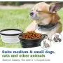 Noryika Collapsible Dog Bowls [2 Pack], Silicone Food & Water Travel Bowl with Lids & Carabiners for Dogs Cats, Portable Travel Pet Bowl for Walking Camping, Kennels & Camping, Blue + Green
