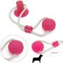 SiNetGuy Multifunction Pet Molar Bite Toy Dog Chew Toys, Self-Playing Rubber Ball Toy with Suction Cup Molar Chew Toy Cleaning Teeth