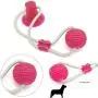 SiNetGuy Multifunction Pet Molar Bite Toy Dog Chew Toys, Self-Playing Rubber Ball Toy with Suction Cup Molar Chew Toy Cleaning Teeth