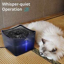 iPettie Kamino Pet Water Fountain, 101oz/3L, Ultra-Quiet Automatic Cat Water Dispenser with LED Light & Water Level Window, Auto Power Off USB Pump & Dual Filters for Cats and Dogs | Translucent Blue