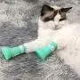 XERGUR Cat Anti-Scratch Boots, Silicone Cat Shoes Boots Rubber Nail Cover Precaution Scratch Gloves Cat Paw Protector Pet Grooming Scratching Booties for Home Bath Shave Check Treatment XERGUR Cat Anti-Scratch Boots, Silicone Cat Shoes Boots Rubber Nail Cover Precaution Scratch Gloves Cat Paw Protector Pet Grooming Scratching Booties for Home Bath Shave Check Treatment