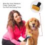 Free Paws Pet Dryer for Dog Cat Hair Blower, Portable Grooming Professional 4HP Forced Air Force Dryer for Dogs with Heating, for Large Small Pets Dogs Cats, Variable Speed (Yellow)