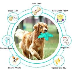 Dog Toy Chewer Toothbrush, Interactive Toothbrush Toy Squeaky Teeth Cleaning Dental Care, New Starfish Design Chewer for Aggressive Dog Small Medium Large