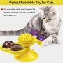 Malier Windmill Cat Toy, Interactive Rotating Turntable Teasing Toys with Flash Lights Catnip Balls and Strong Suction Cup, Multifunction Catnip Toys, Self Groomer Massage Toy for Kitten Cat