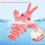 Efoee Cat Toy, Electric Moving Plush Lobster Cat Toys, Motion Kitten Catnip Toys, Interactive Cat Toys for Indoor Cats, Pet Toys for Cats Exercise