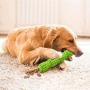Gbziyjk Dog Toys Chew Pet Tooth Biting Molar Interact Feeder Anti-Bite Puppy Playing Iq Training Toothbrush Stick Treat Dispensing,Durable Teeth Cleaning (Green)