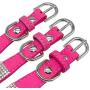 haoyueer Cute Dazzling Sparkling Elegant Fancy Soft Suede Leather Bling Rhinestone Crystal Jeweled Pet Cat Dog Puppy Collar Dog Leash Combo Set